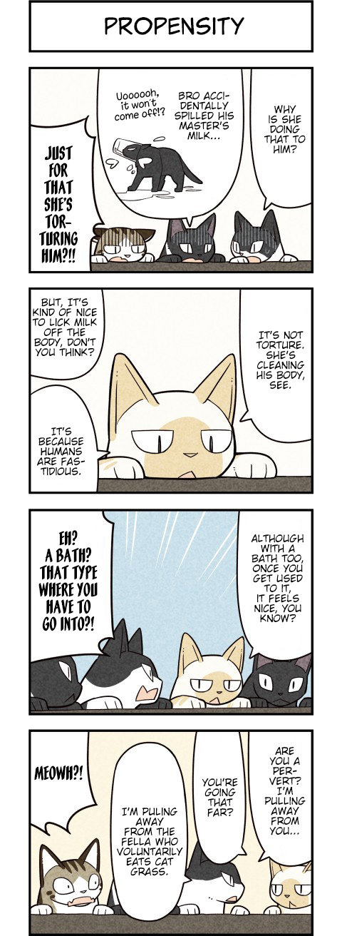 We Are Cats - Chapter 60