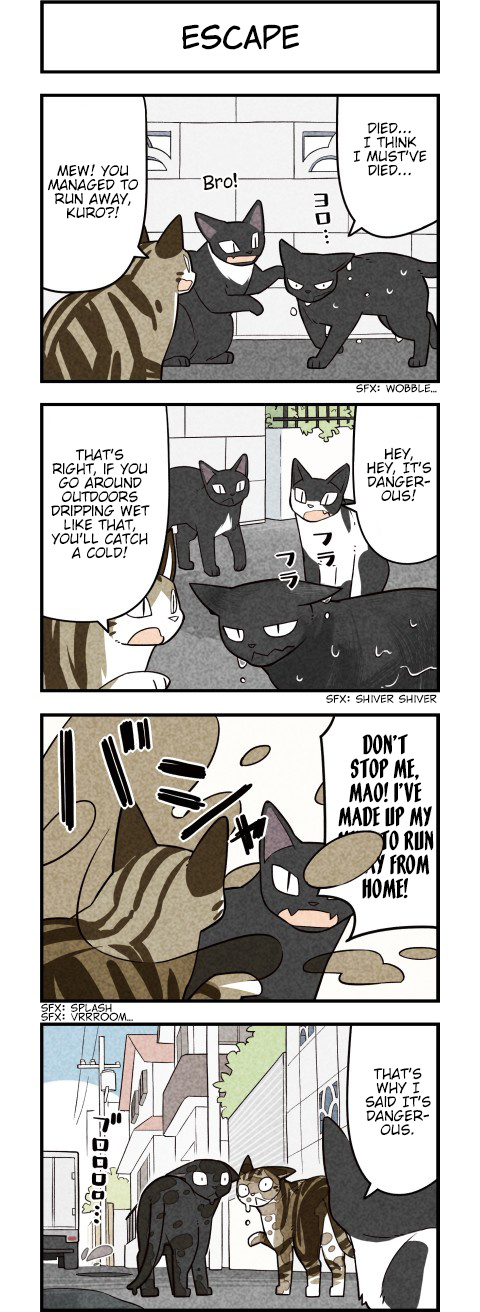 We Are Cats - Chapter 60