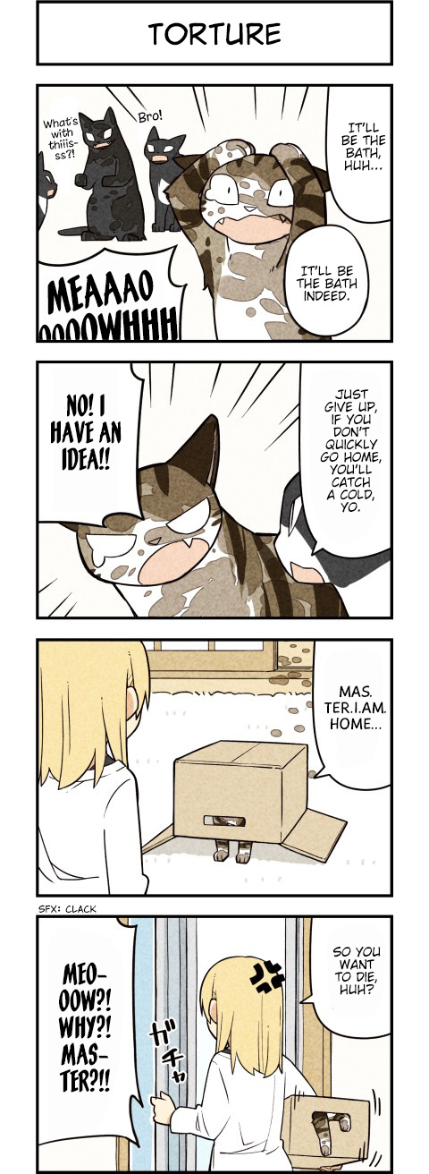 We Are Cats - Chapter 60