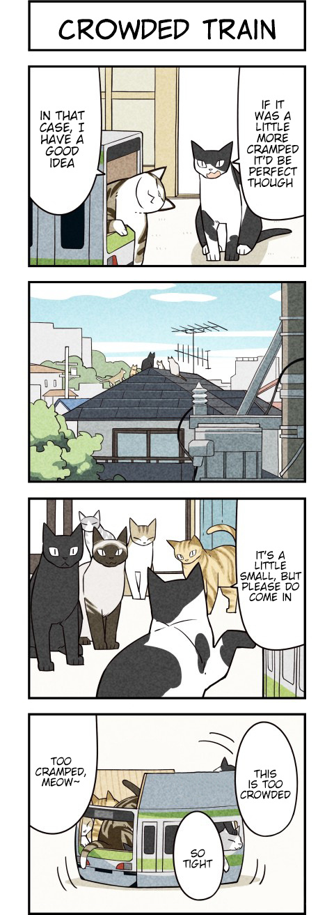 We Are Cats - Chapter 23