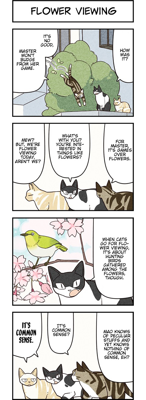 We Are Cats - Chapter 52