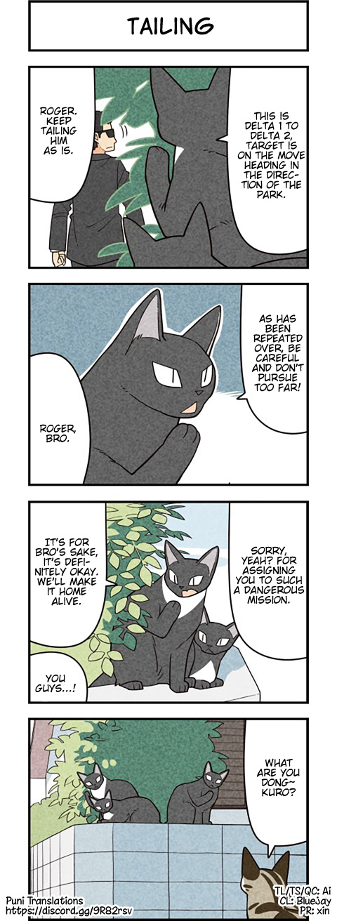 We Are Cats - Chapter 55