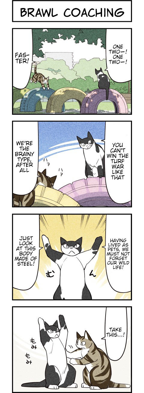 We Are Cats - Chapter 25