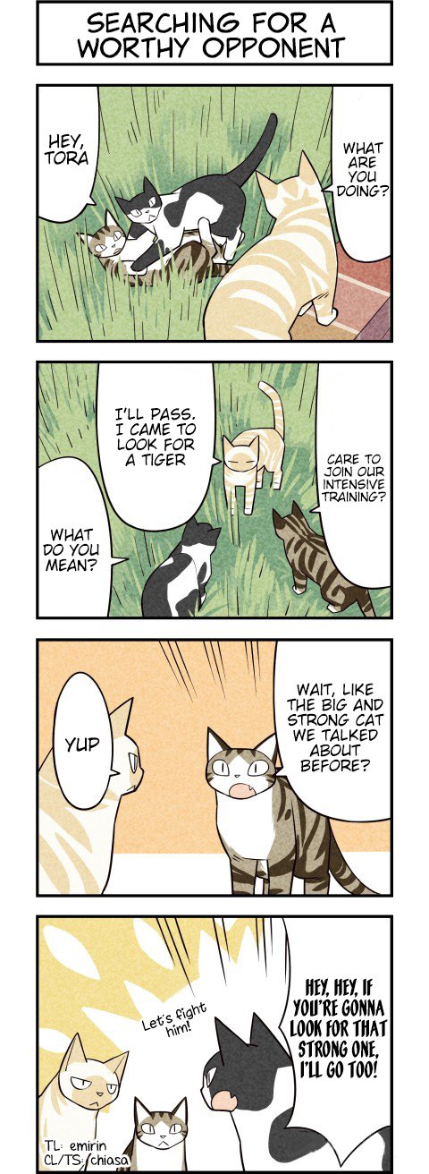 We Are Cats - Chapter 25