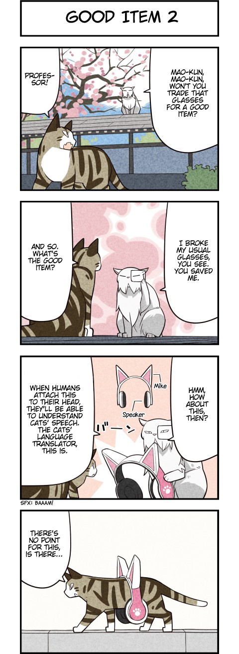 We Are Cats - Chapter 47