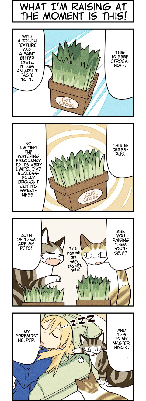 We Are Cats - Chapter 63