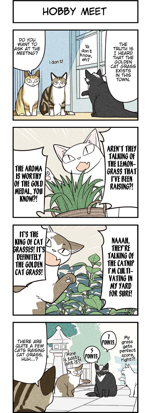 We Are Cats - Chapter 63