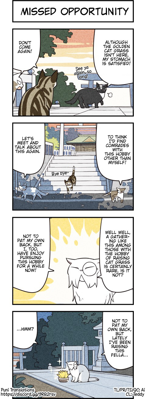 We Are Cats - Chapter 63