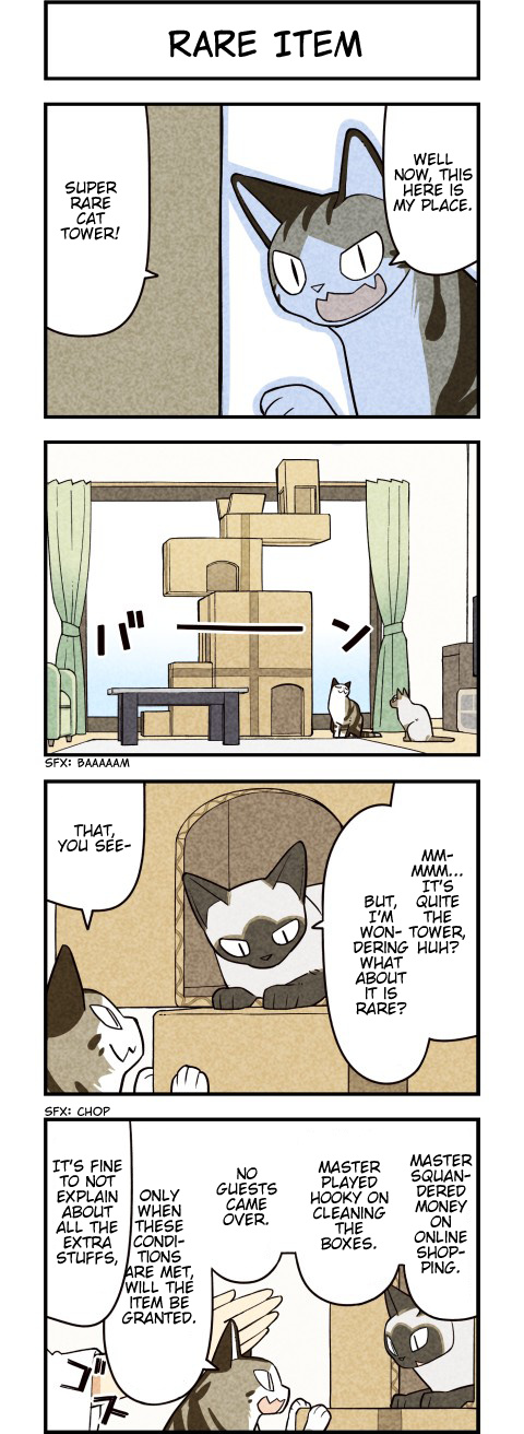 We Are Cats - Chapter 66