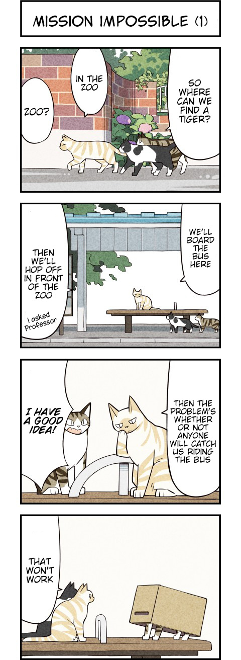 We Are Cats - Chapter 26