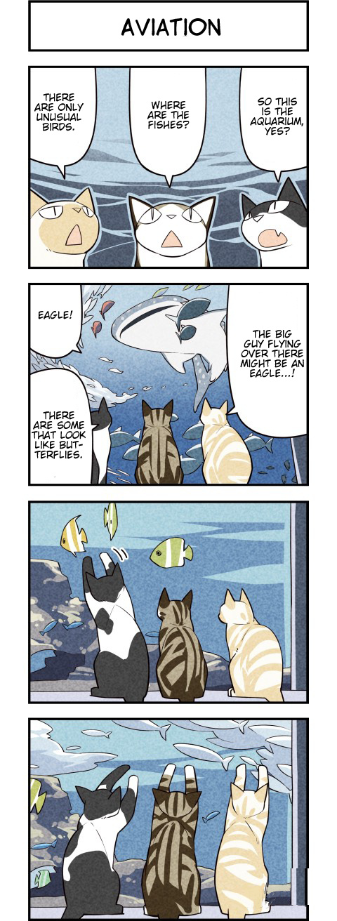 We Are Cats - Chapter 40