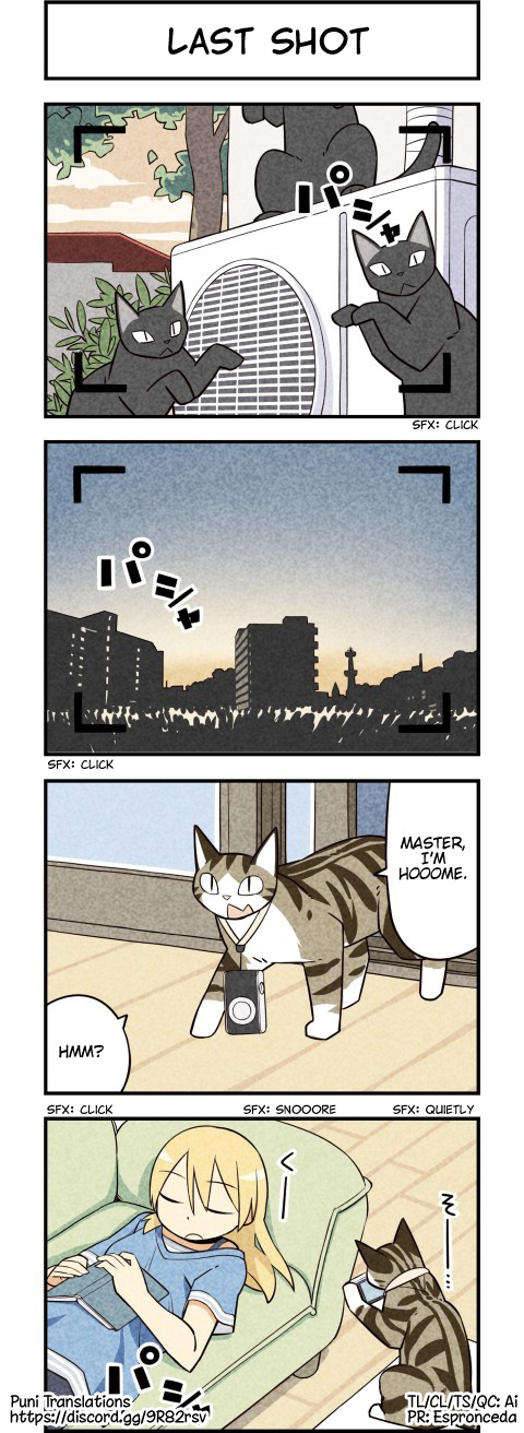 We Are Cats - Chapter 32