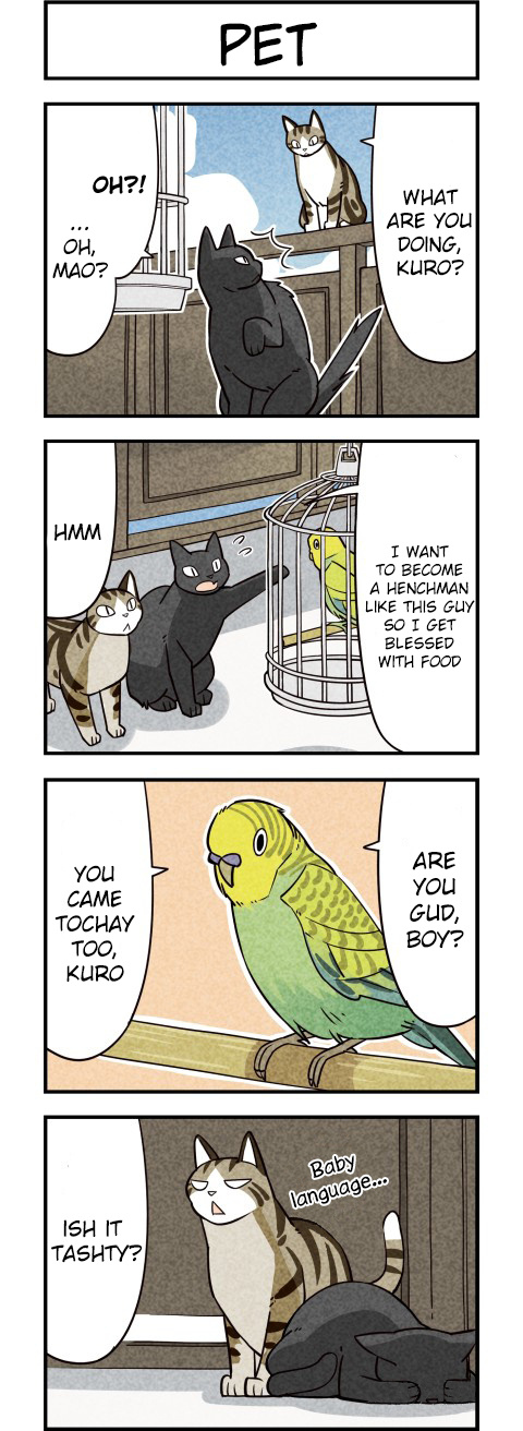 We Are Cats - Chapter 10