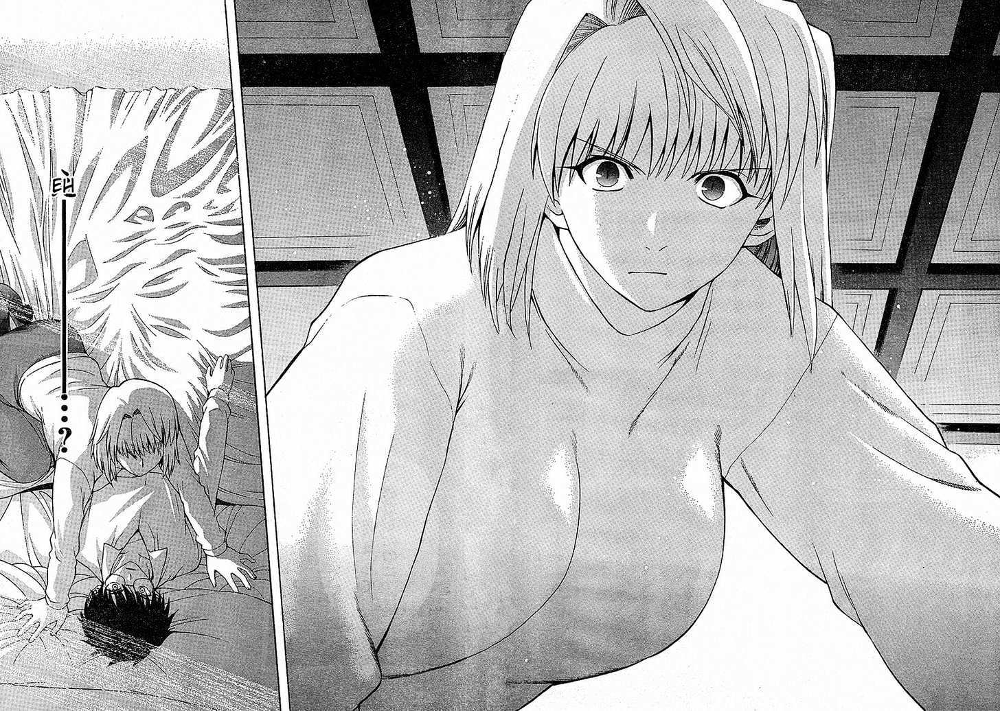 Shingetsutan Tsukihime - Vol.5 Chapter 37