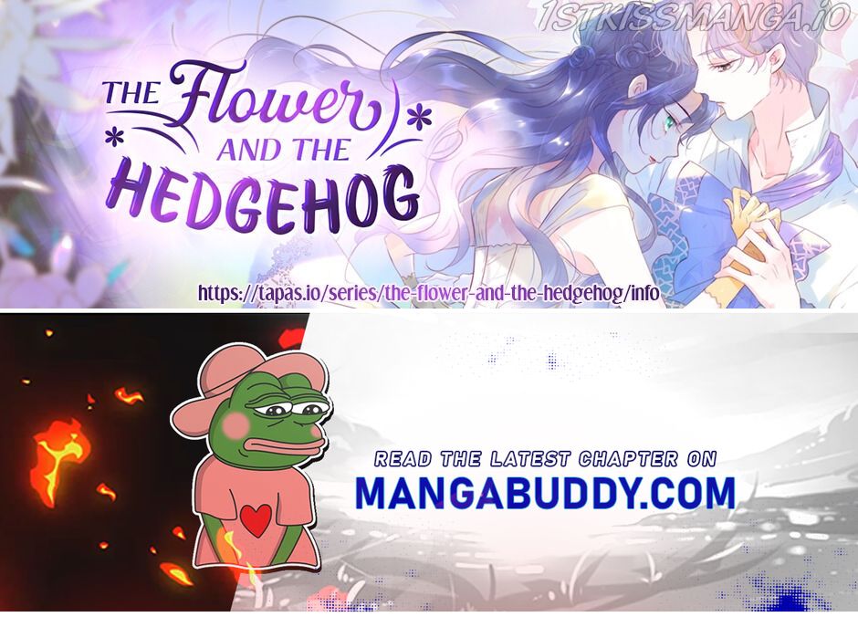 The Beauty Ran Away With The Hedgehog - Chapter 41