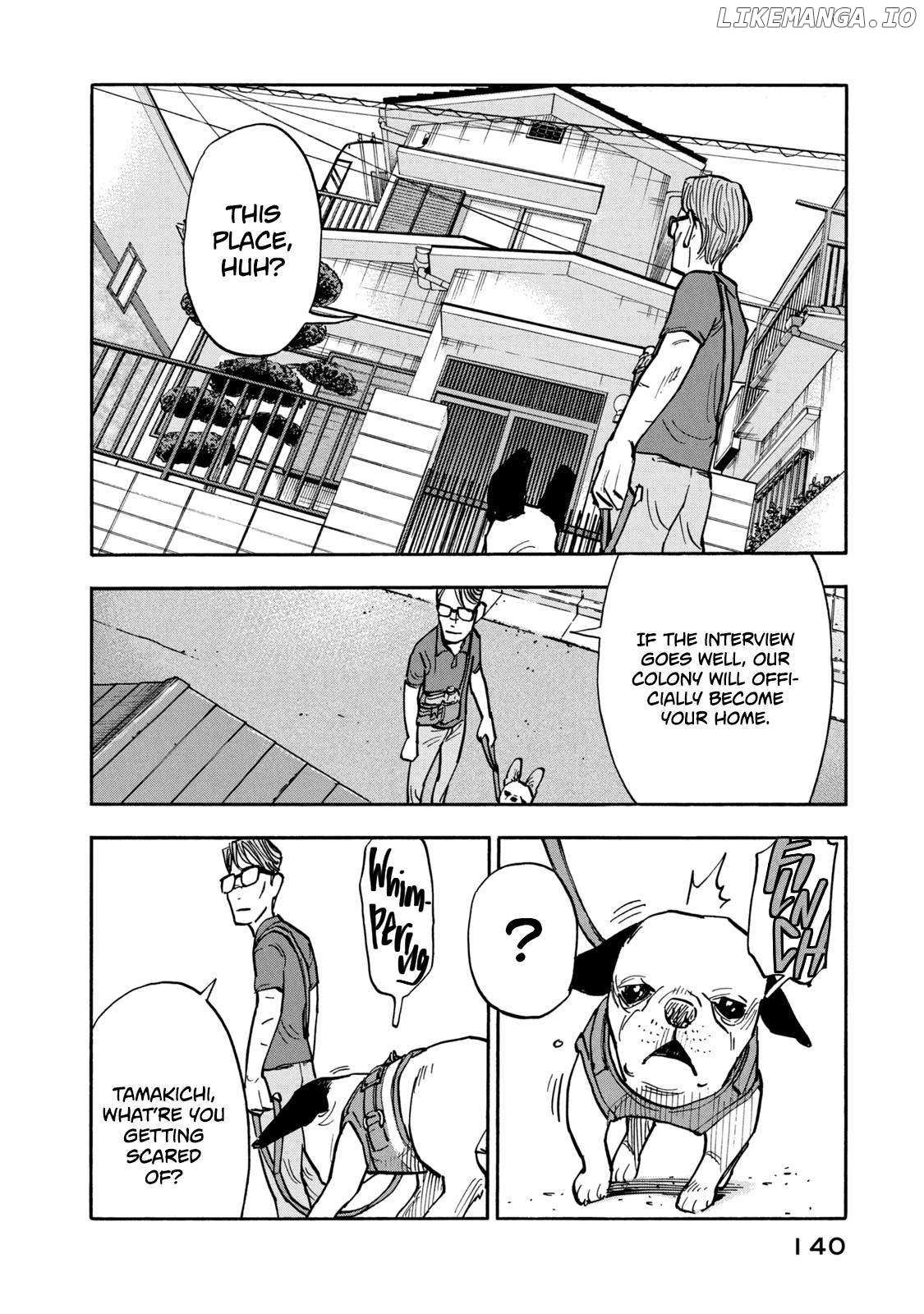 Dear Shimazaki In The Peaceful Land - Chapter 16