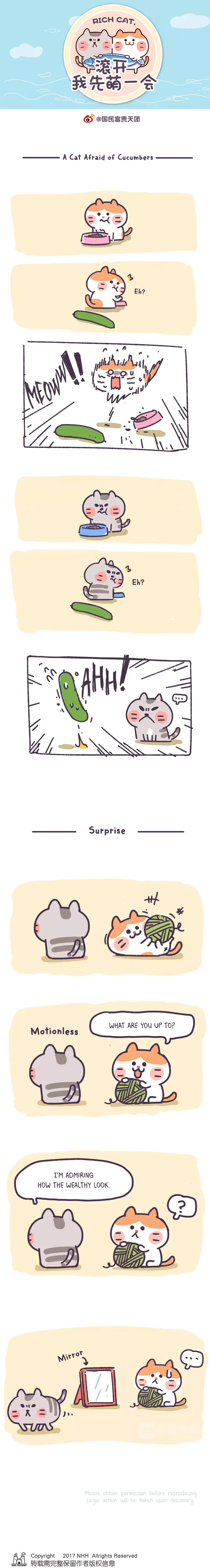 Go Away, Let Me Be Cute First! - Chapter 80: A Cat Afraid Of Cucumbers