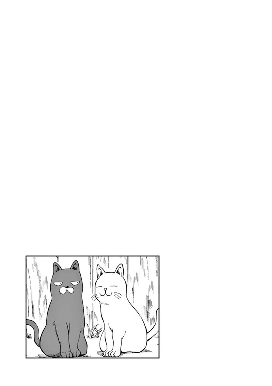 Ashita Wa Doyoubi - Chapter 13 : Cats