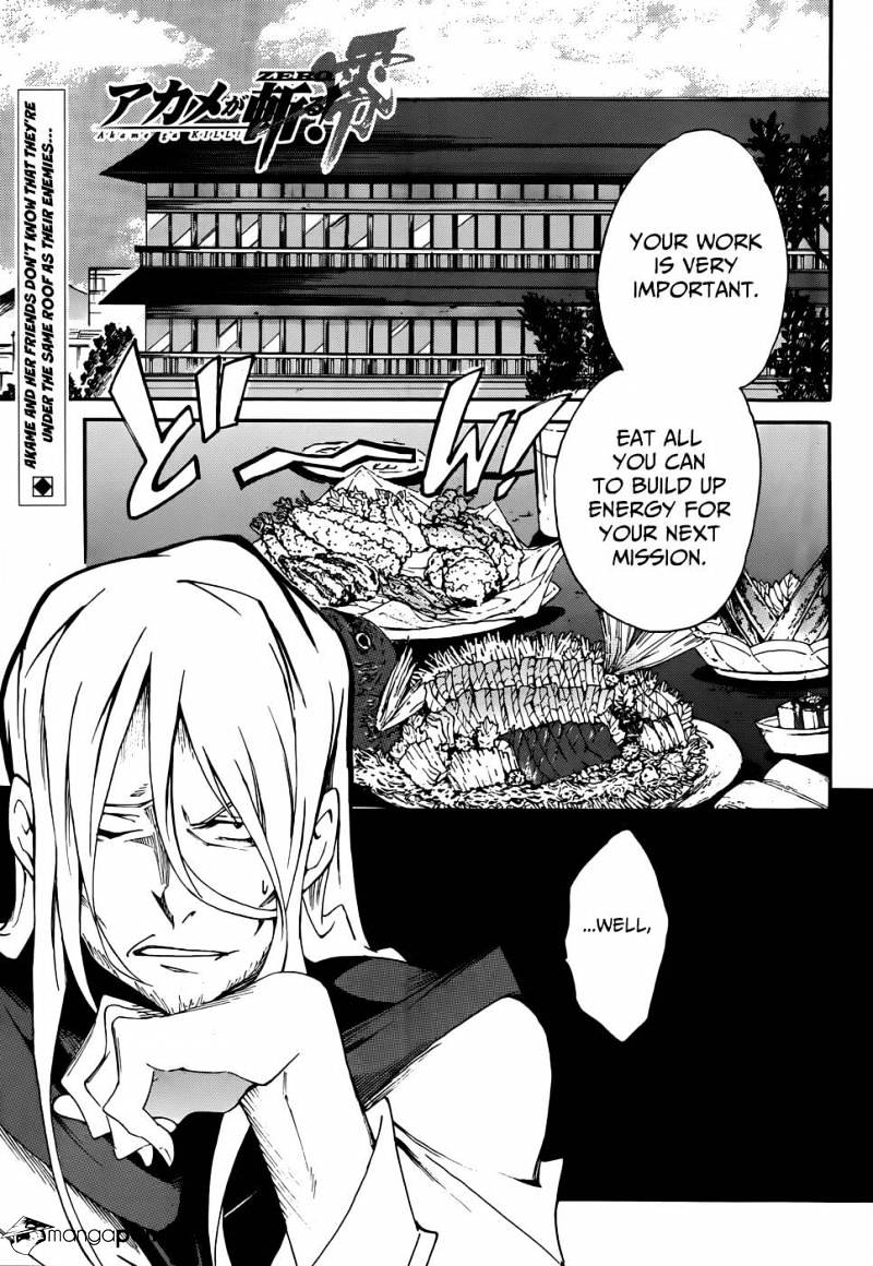 Akame Ga Kiru! Zero - Chapter 9