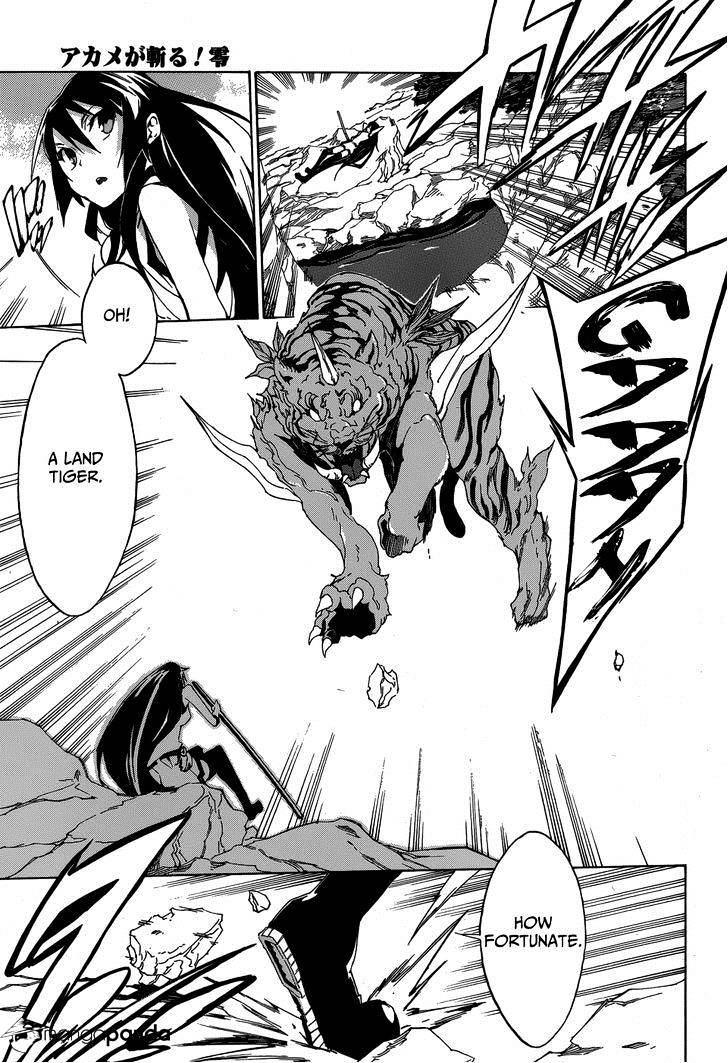 Akame Ga Kiru! Zero - Chapter 2 V2