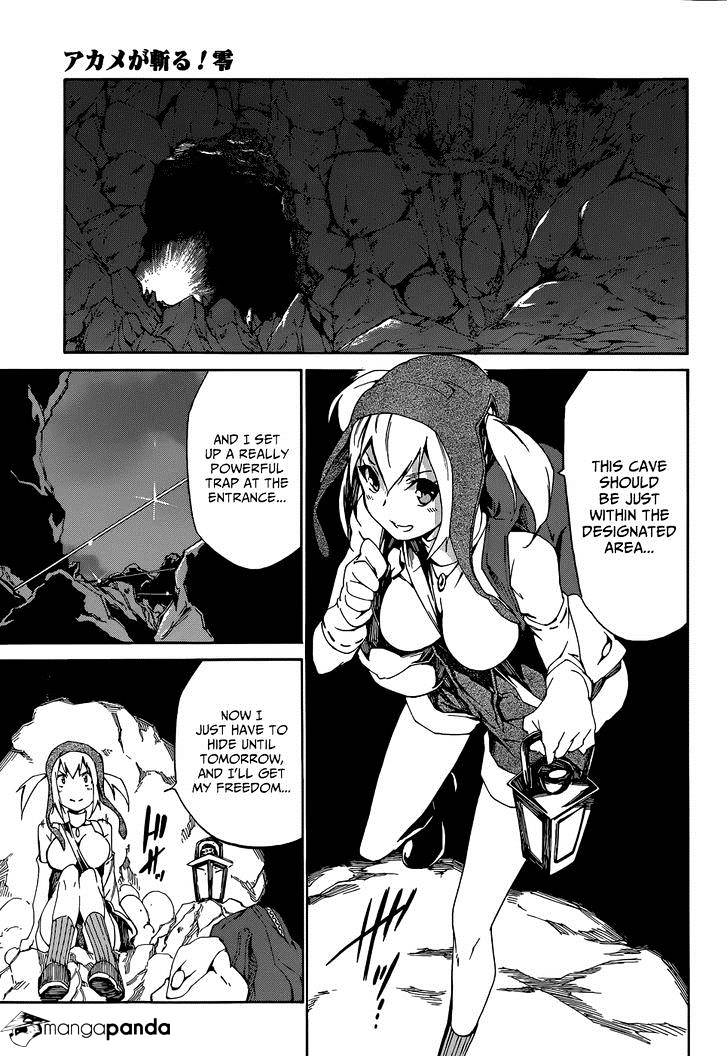 Akame Ga Kiru! Zero - Chapter 4