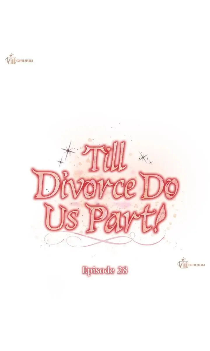 Till Divorce Do Us Part! - Chapter 28