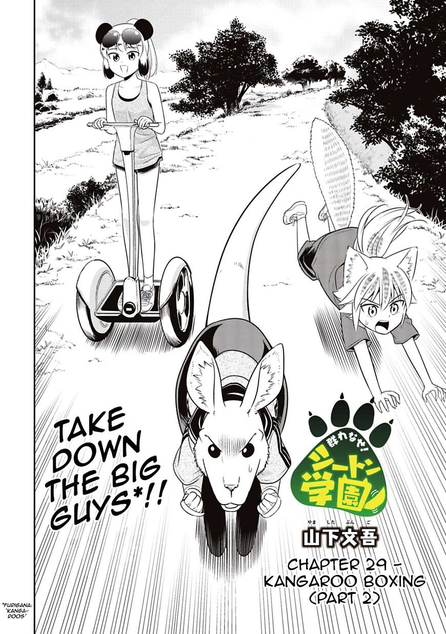 Murenase! Shiiton Gakuen - Chapter 29 : Kangaroo Boxing (Part 2)