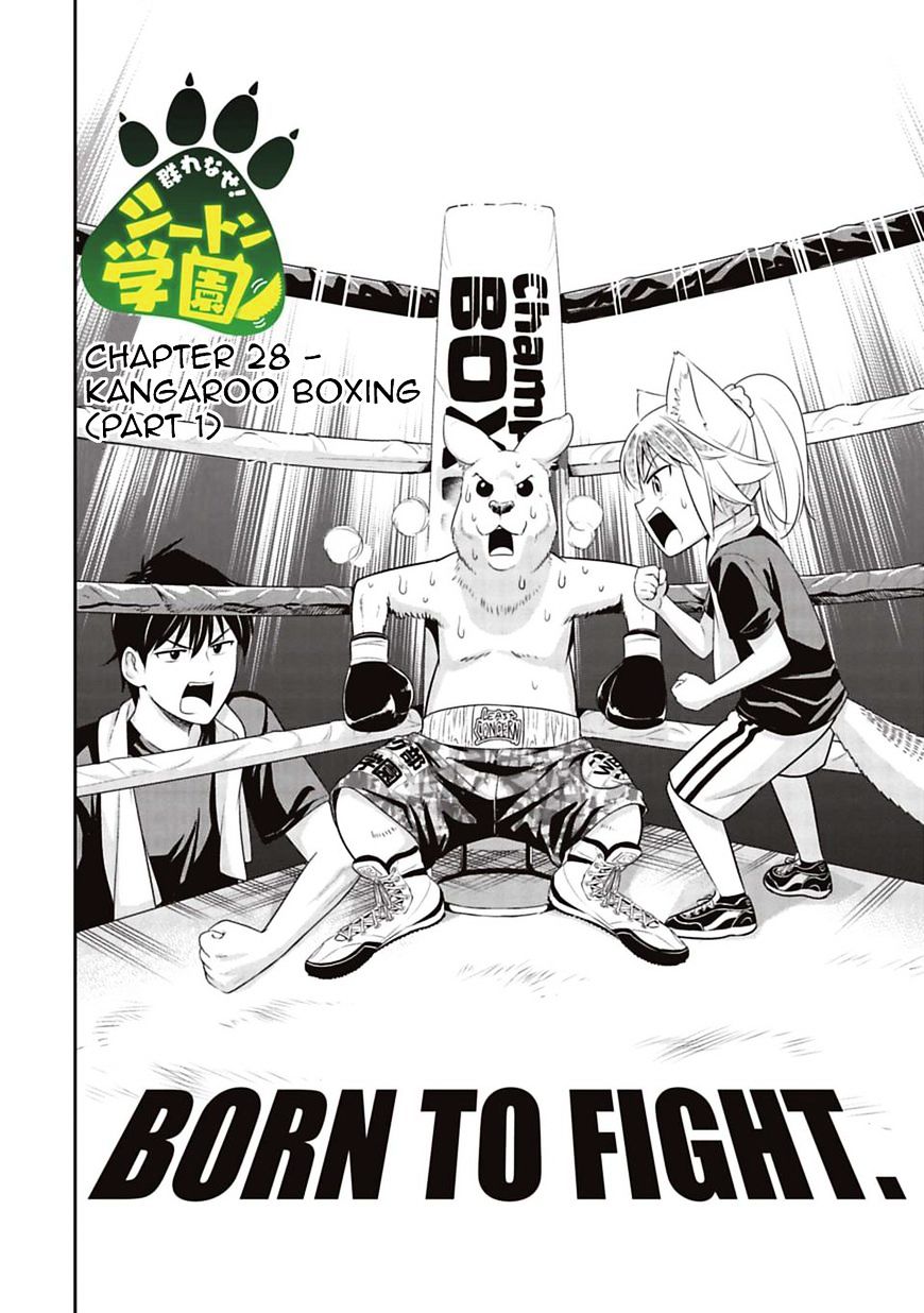 Murenase! Shiiton Gakuen - Chapter 28 : Kangaroo Boxing (Part 1)