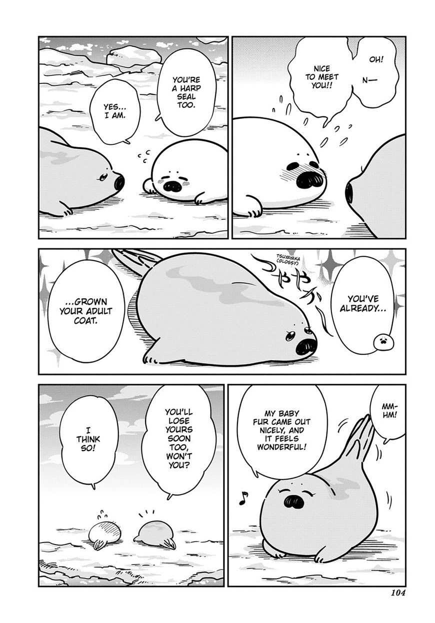 Koi Suru Shirokuma - Chapter 12