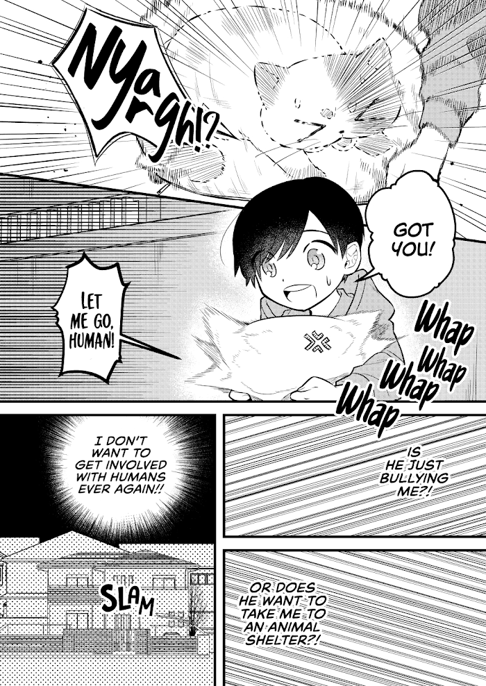 Box! Kira Ito Tanpenshuu - Chapter 11