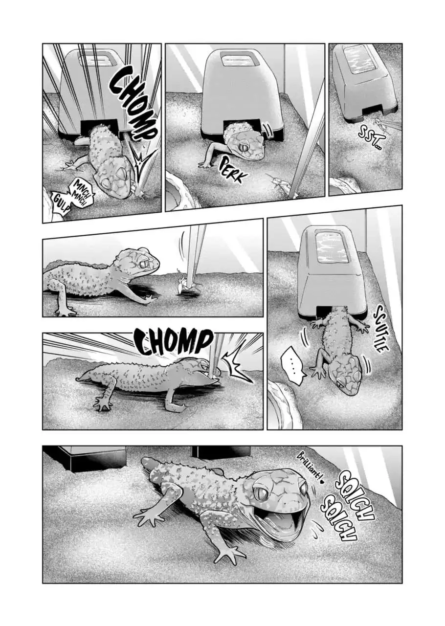 Secret Reptiles - Chapter 116