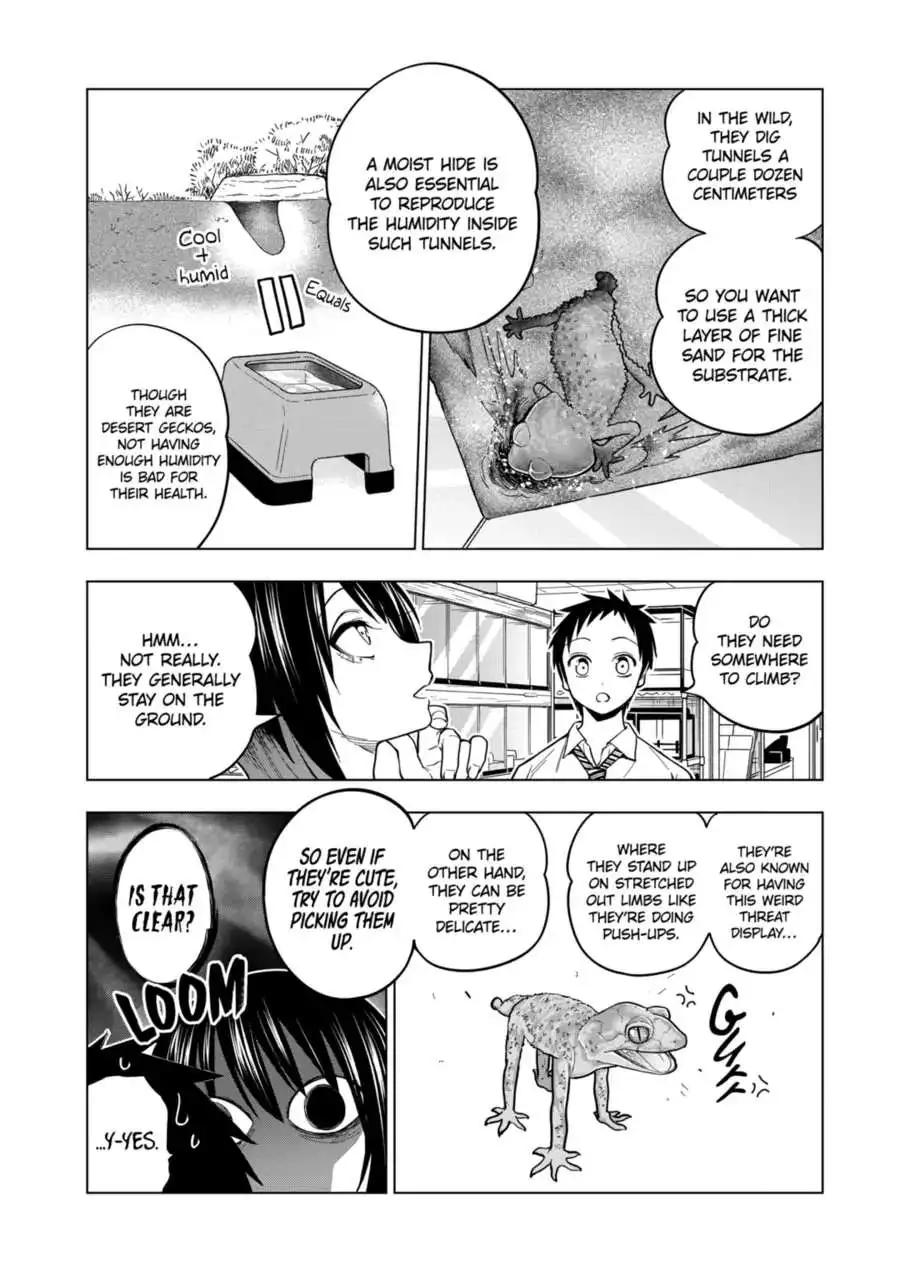 Secret Reptiles - Chapter 116