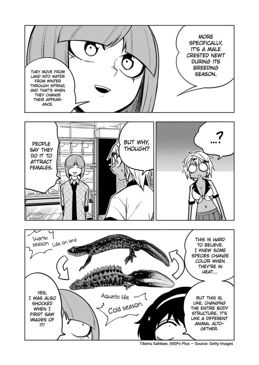 Secret Reptiles - Chapter 122