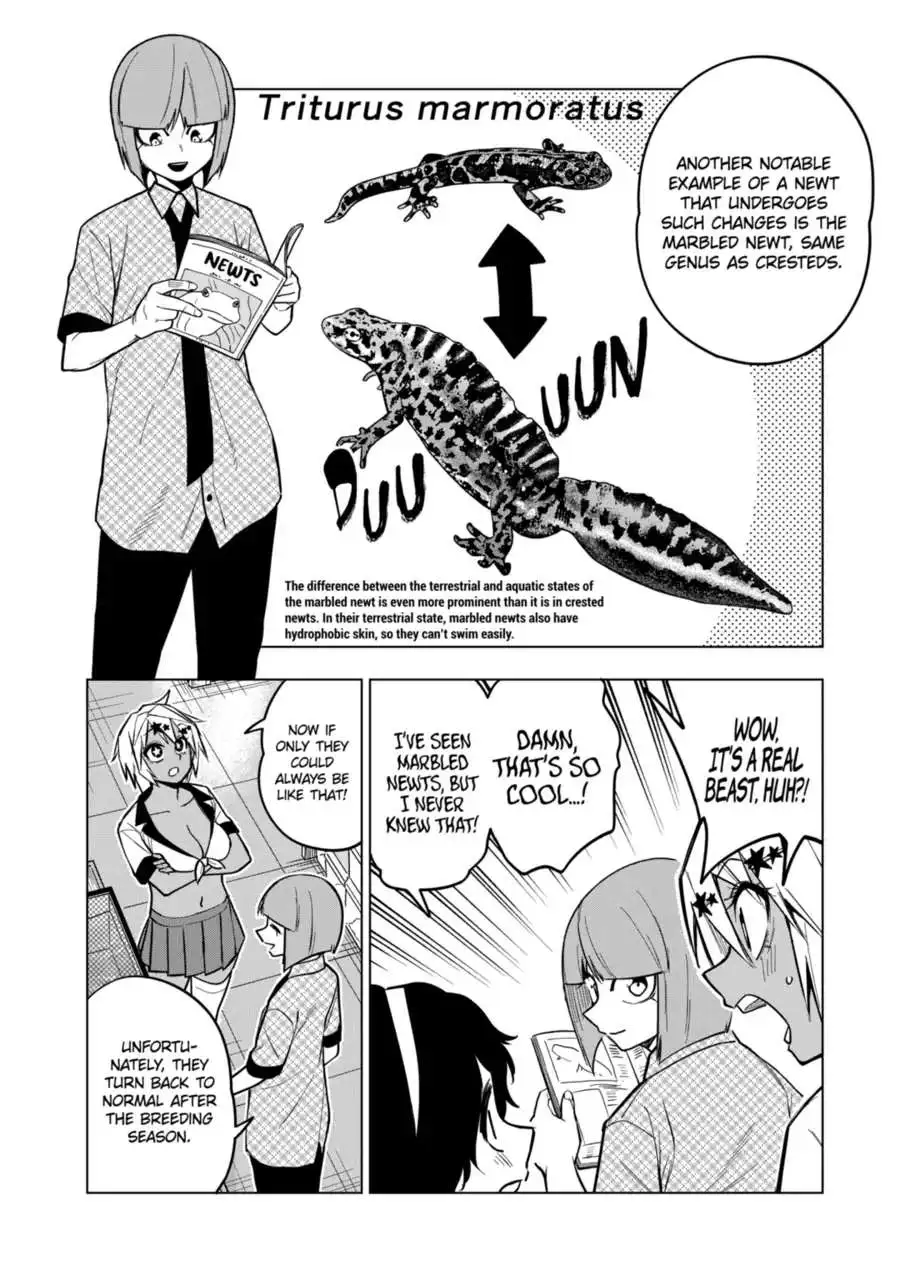 Secret Reptiles - Chapter 122