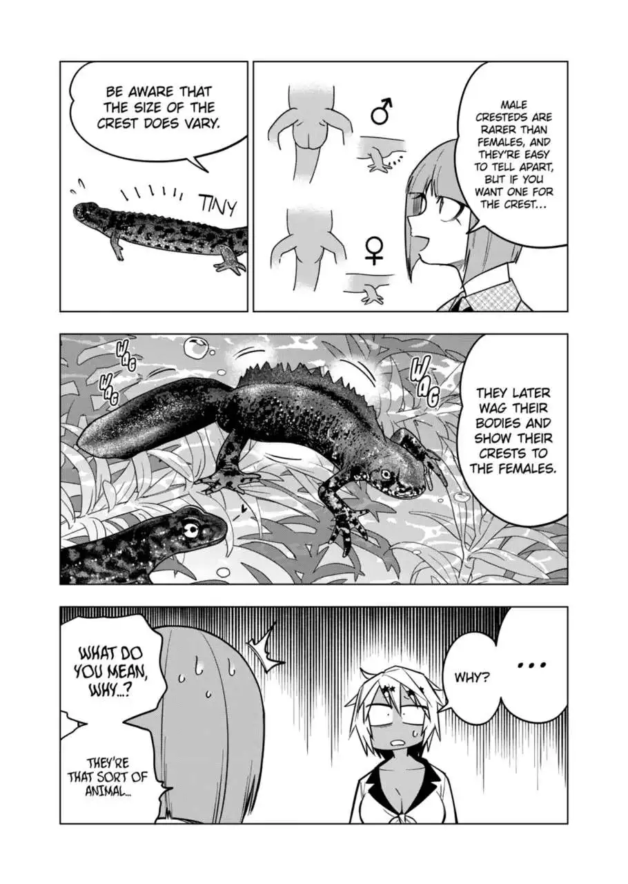 Secret Reptiles - Chapter 122