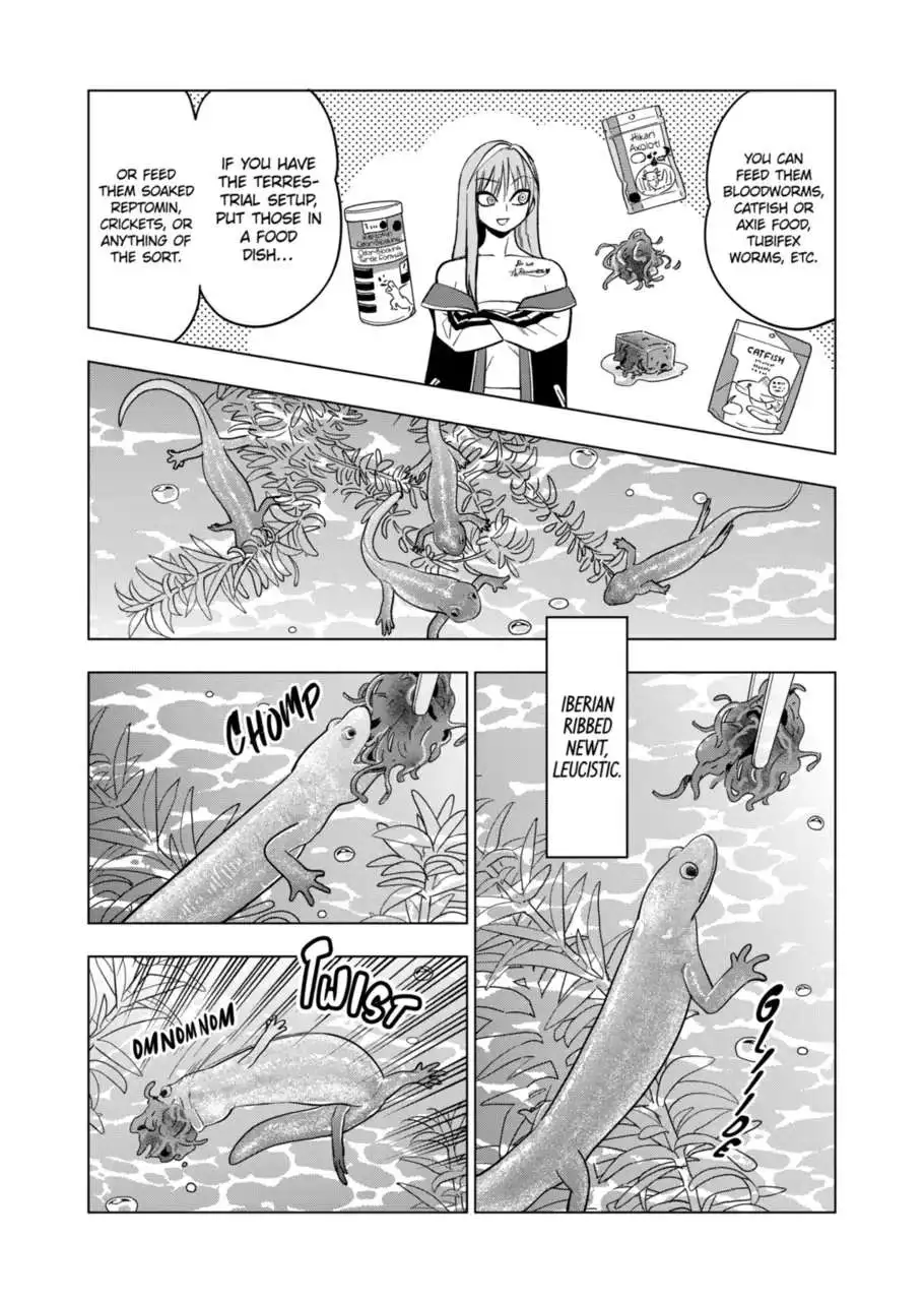 Secret Reptiles - Chapter 122