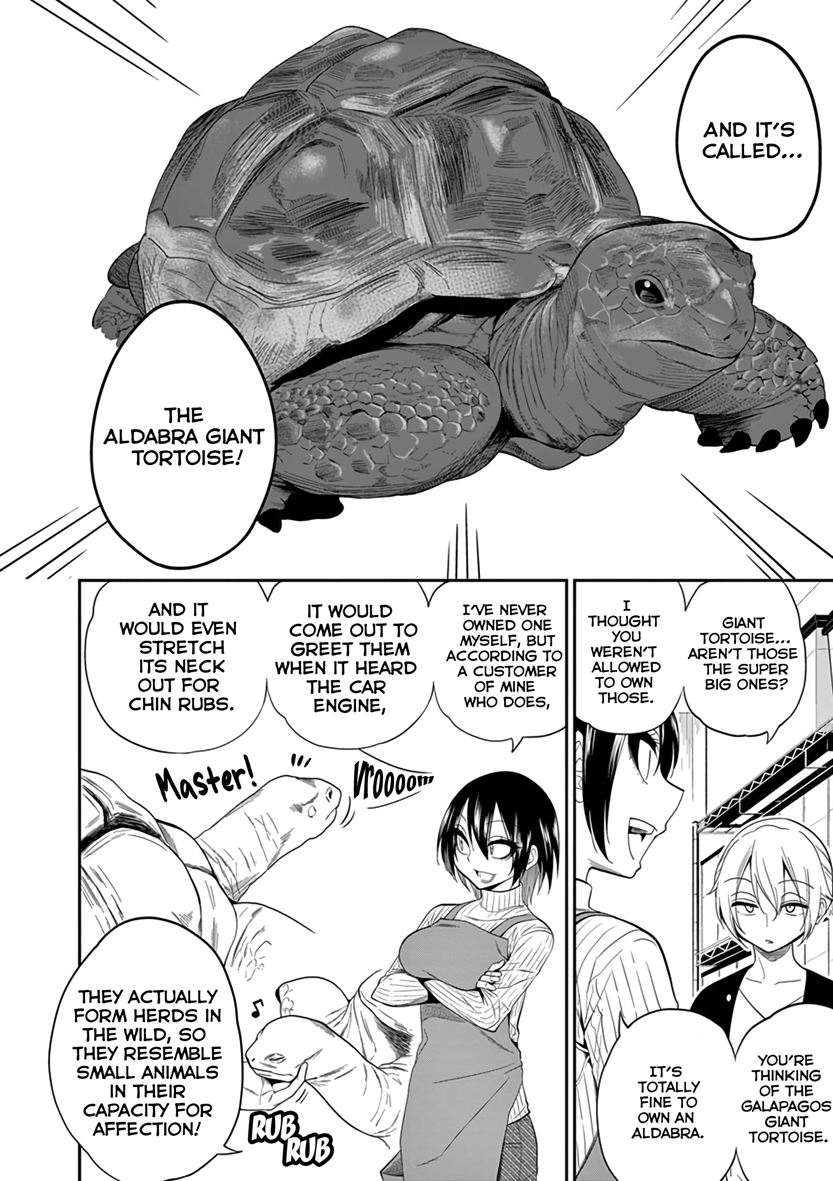 Secret Reptiles - Vol.2 Chapter 14: Species #14 - Various Things To Do For Healthy Turtles