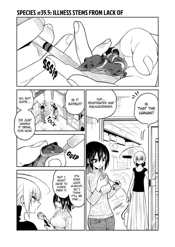 Secret Reptiles - Chapter 35.5