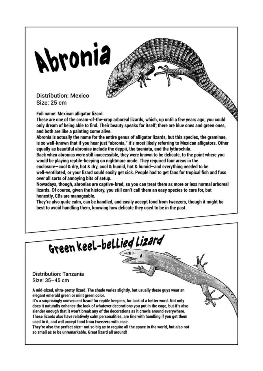 Secret Reptiles - Chapter 121