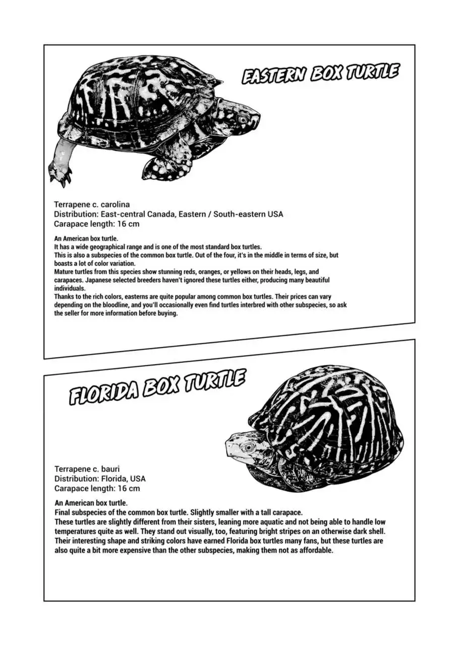 Secret Reptiles - Chapter 124