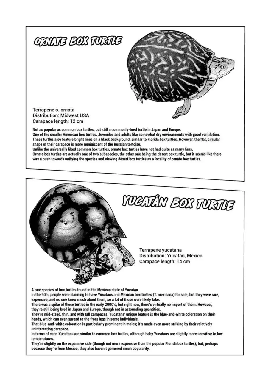 Secret Reptiles - Chapter 124