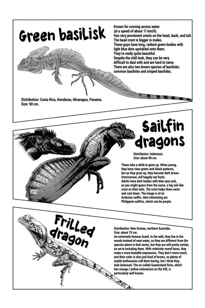 Secret Reptiles - Chapter 76