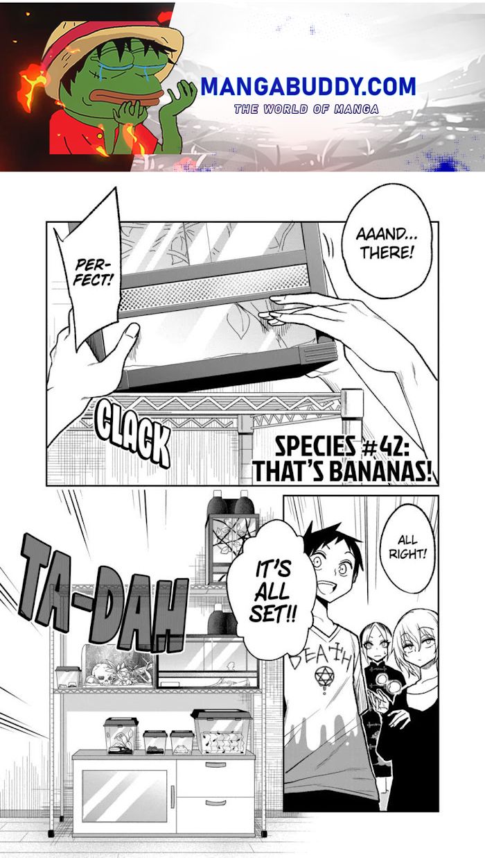 Secret Reptiles - Chapter 42