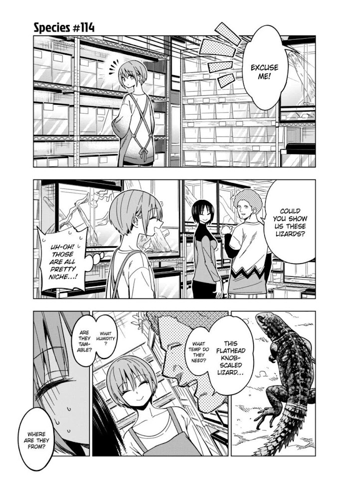 Secret Reptiles - Chapter 114