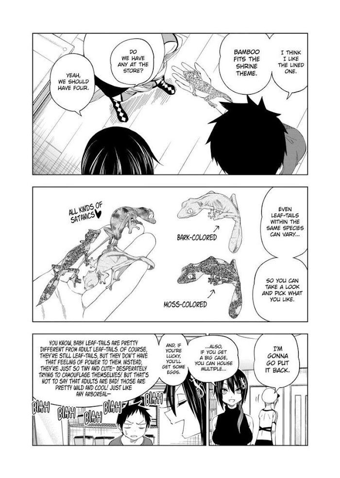 Secret Reptiles - Chapter 70