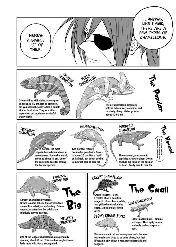 Secret Reptiles - Chapter 39