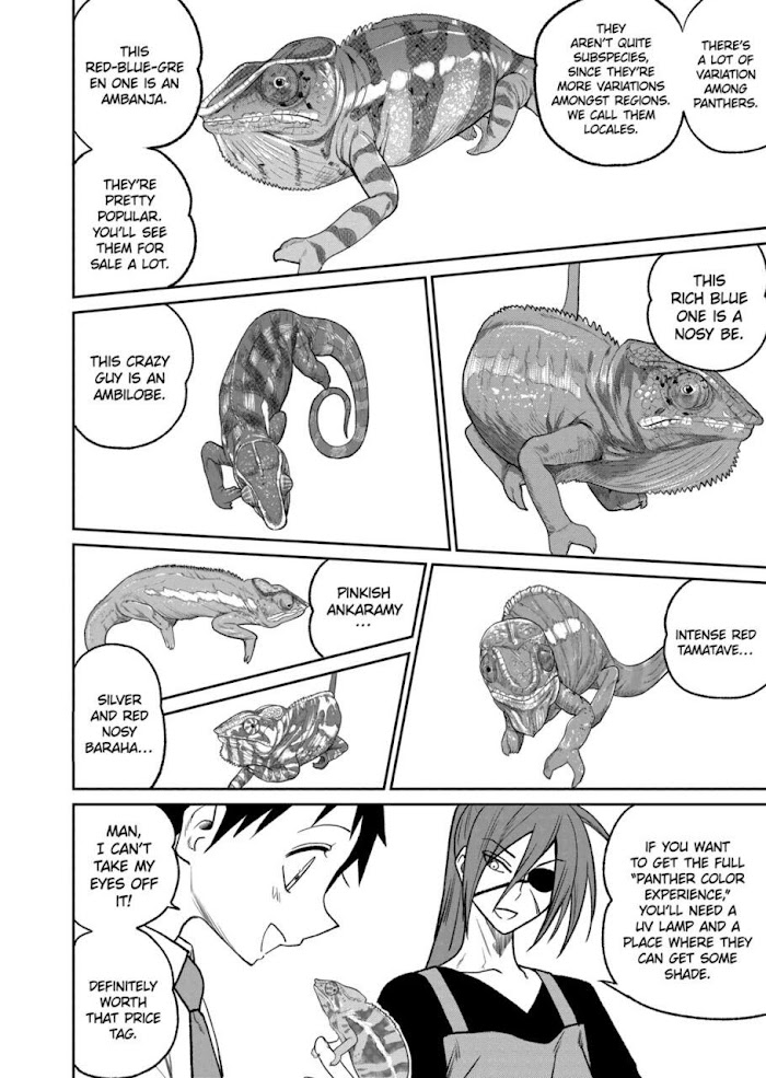 Secret Reptiles - Chapter 39