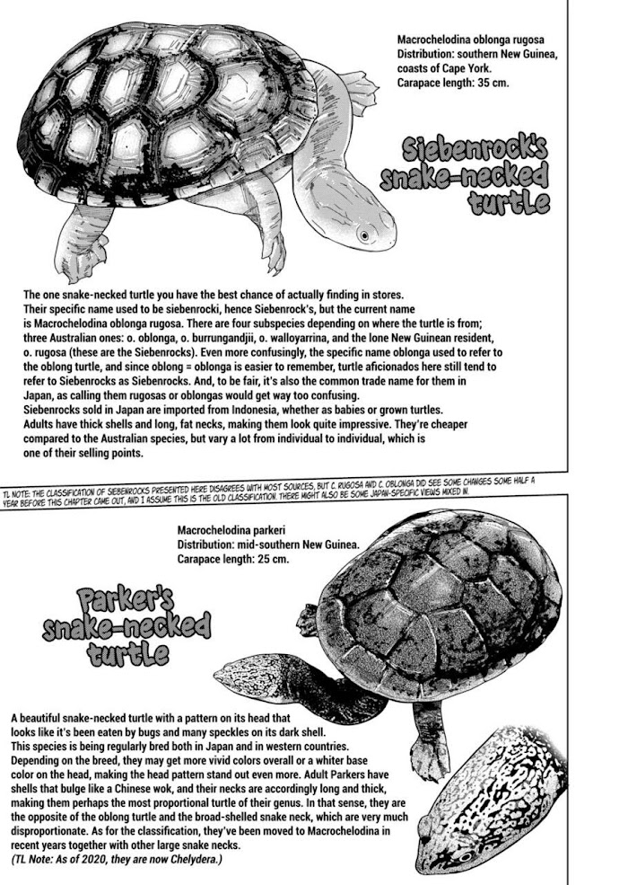 Secret Reptiles - Chapter 102