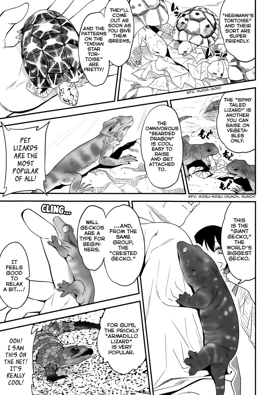 Secret Reptiles - Vol.1 Chapter 2: Species #2 - Don’t Say Hard Things Like Frogs Aren’t Reptiles.