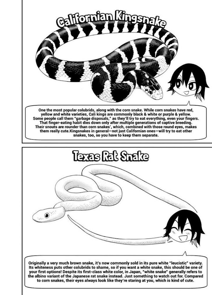 Secret Reptiles - Chapter 23